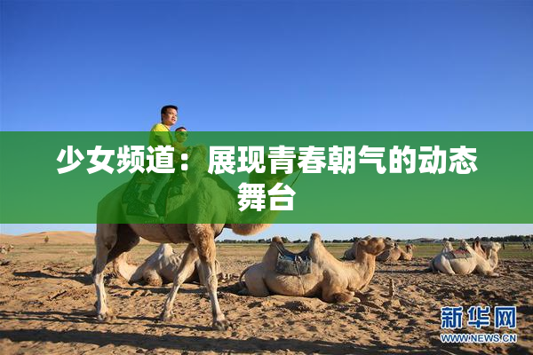少女频道：展现青春朝气的动态舞台