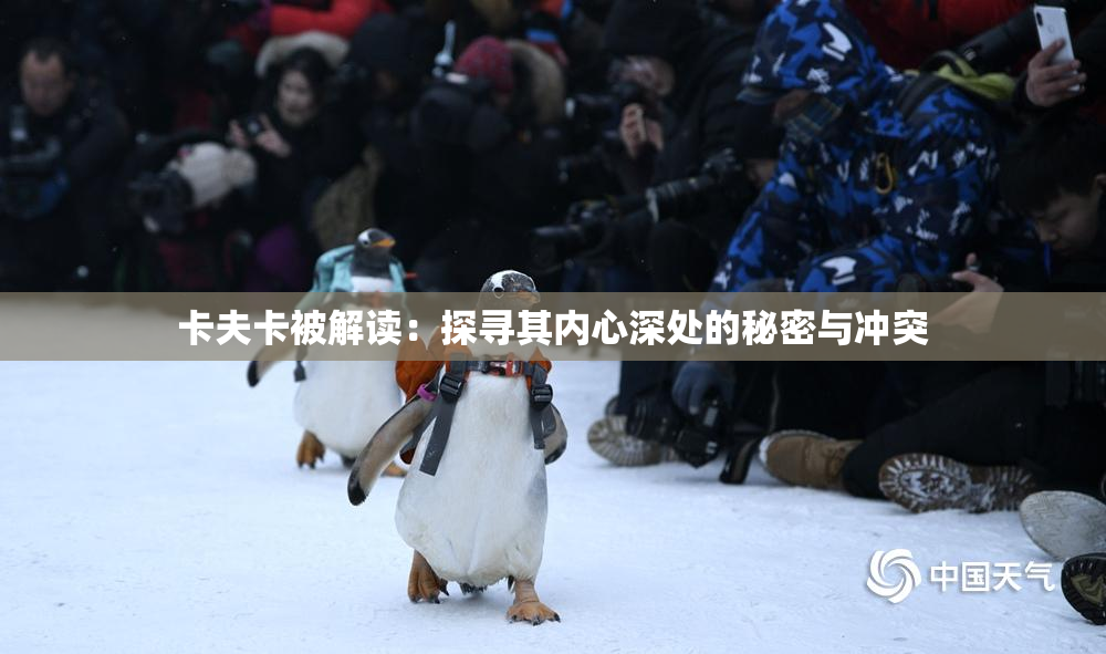 卡夫卡被解读：探寻其内心深处的秘密与冲突