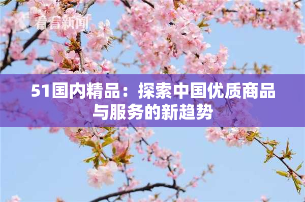 51国内精品：探索中国优质商品与服务的新趋势
