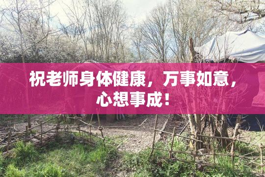 祝老师身体健康，万事如意，心想事成！