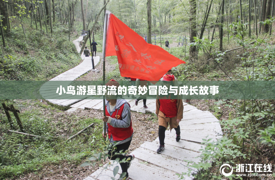 小鸟游星野流的奇妙冒险与成长故事