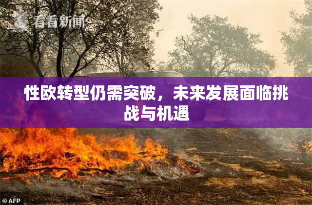 性欧转型仍需突破，未来发展面临挑战与机遇