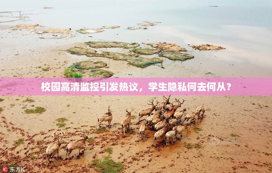 校园高清监控引发热议，学生隐私何去何从？