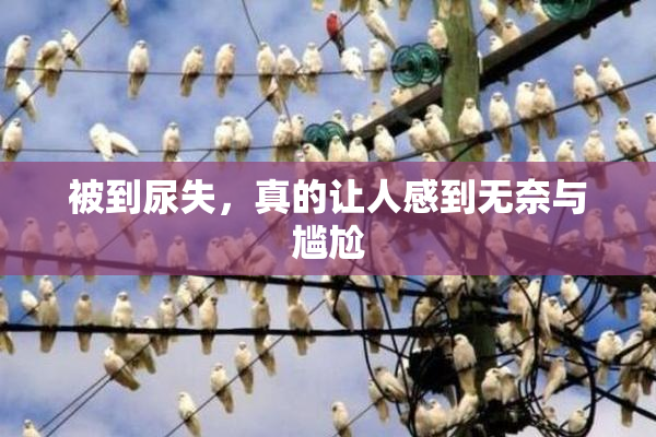 被到尿失，真的让人感到无奈与尴尬