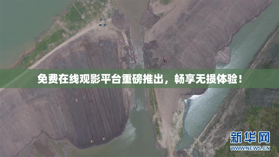 免费在线观影平台重磅推出，畅享无损体验！