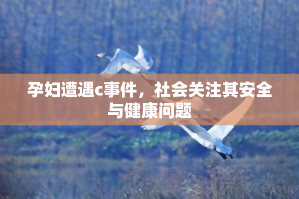 孕妇遭遇c事件，社会关注其安全与健康问题