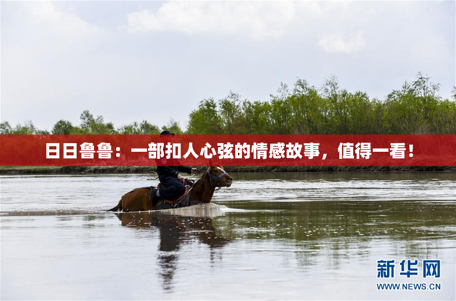 日日鲁鲁：一部扣人心弦的情感故事，值得一看！