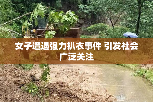 女子遭遇强力扒衣事件 引发社会广泛关注