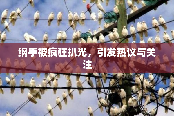 纲手被疯狂扒光，引发热议与关注