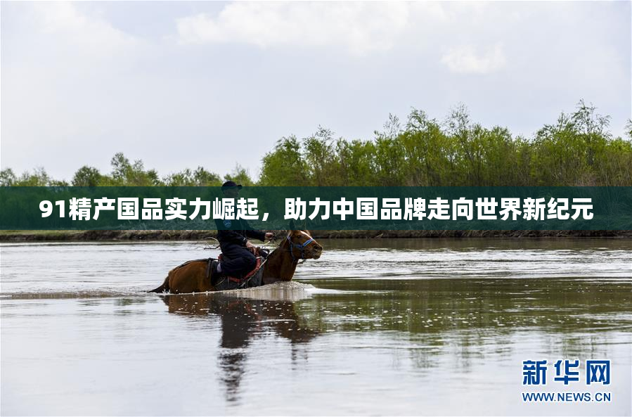 91精产国品实力崛起，助力中国品牌走向世界新纪元