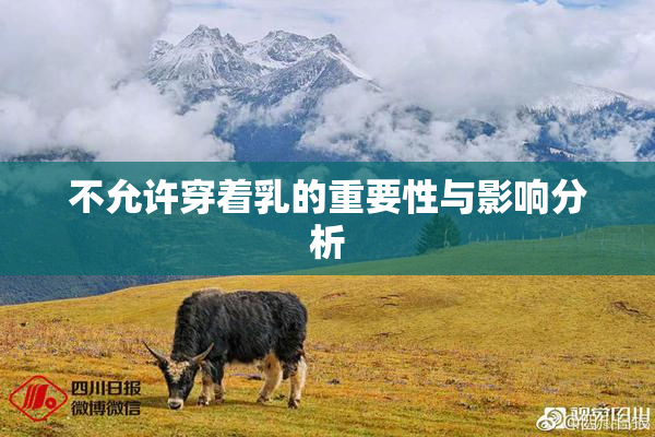 不允许穿着乳的重要性与影响分析