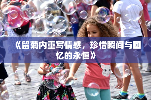 《留菊内重写情感，珍惜瞬间与回忆的永恒》