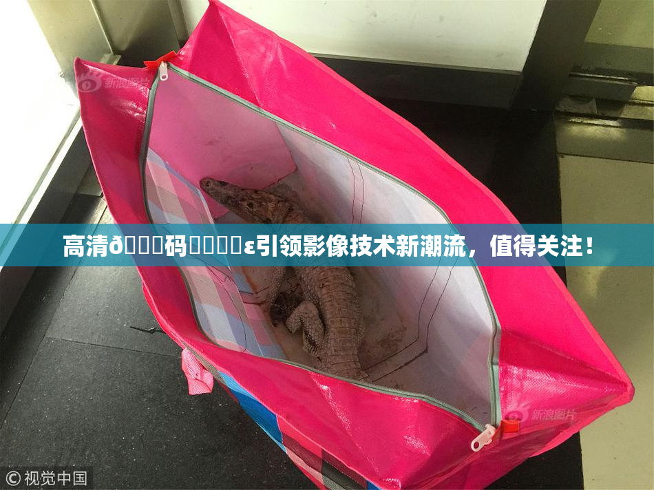 高清🈚码❌‌❌‌ε引领影像技术新潮流，值得关注！