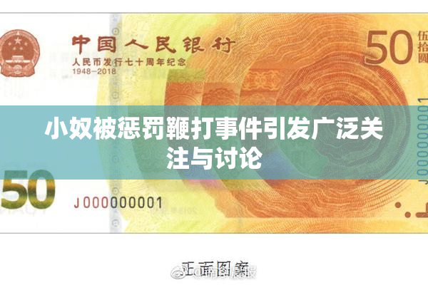 小奴被惩罚鞭打事件引发广泛关注与讨论