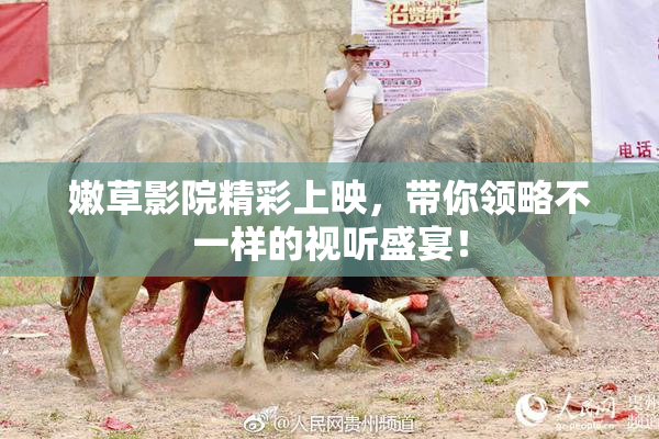 嫩草影院精彩上映，带你领略不一样的视听盛宴！