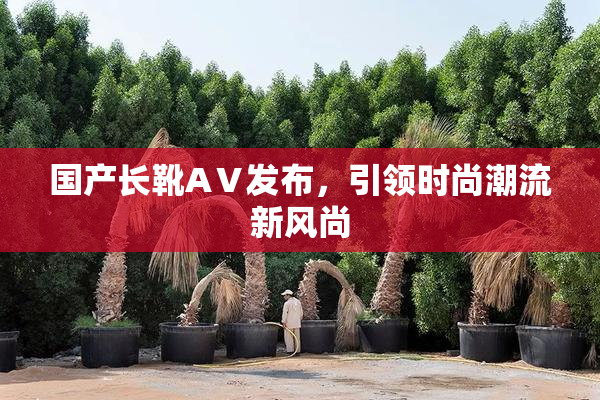 国产长靴AⅤ发布，引领时尚潮流新风尚