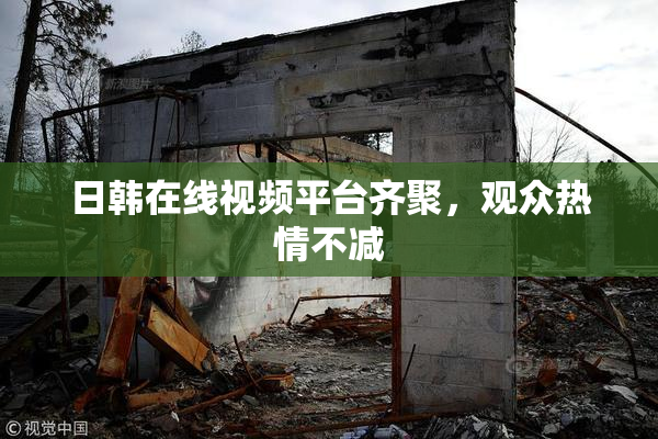 日韩在线视频平台齐聚，观众热情不减
