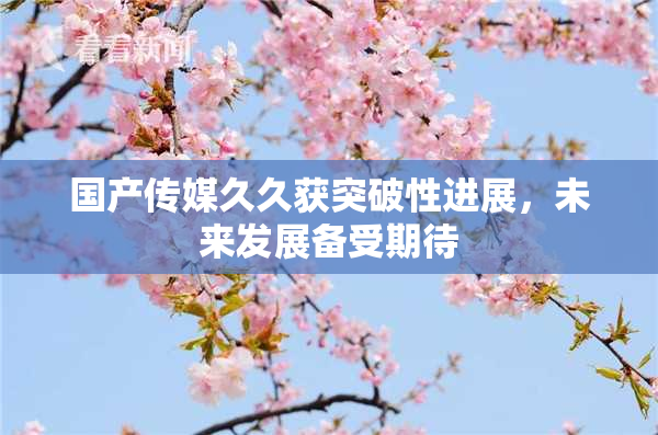 国产传媒久久获突破性进展，未来发展备受期待