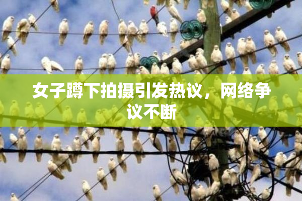 女子蹲下拍摄引发热议，网络争议不断