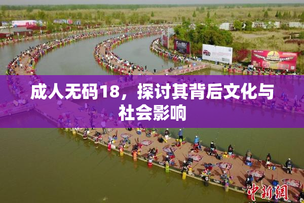 成人无码18，探讨其背后文化与社会影响
