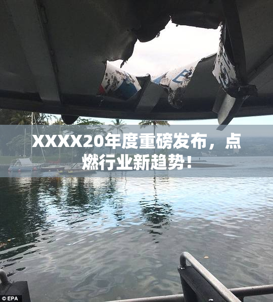 XXXX20年度重磅发布，点燃行业新趋势！