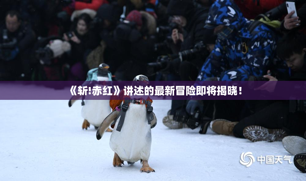 《斩!赤红》讲述的最新冒险即将揭晓！