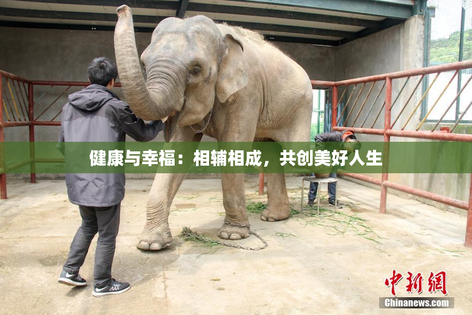 健康与幸福：相辅相成，共创美好人生