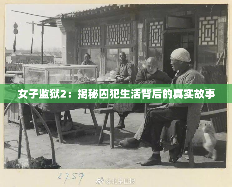 女子监狱2：揭秘囚犯生活背后的真实故事