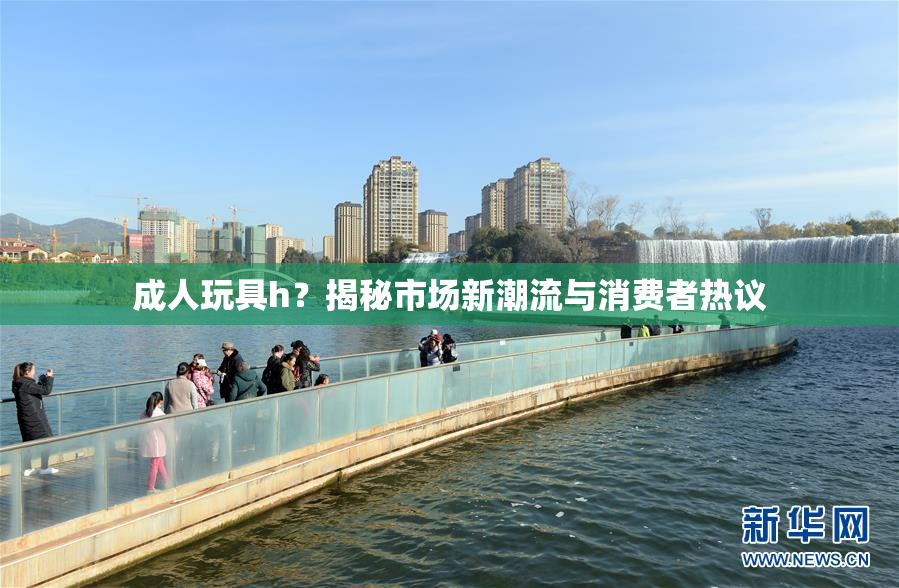 成人玩具h？揭秘市场新潮流与消费者热议