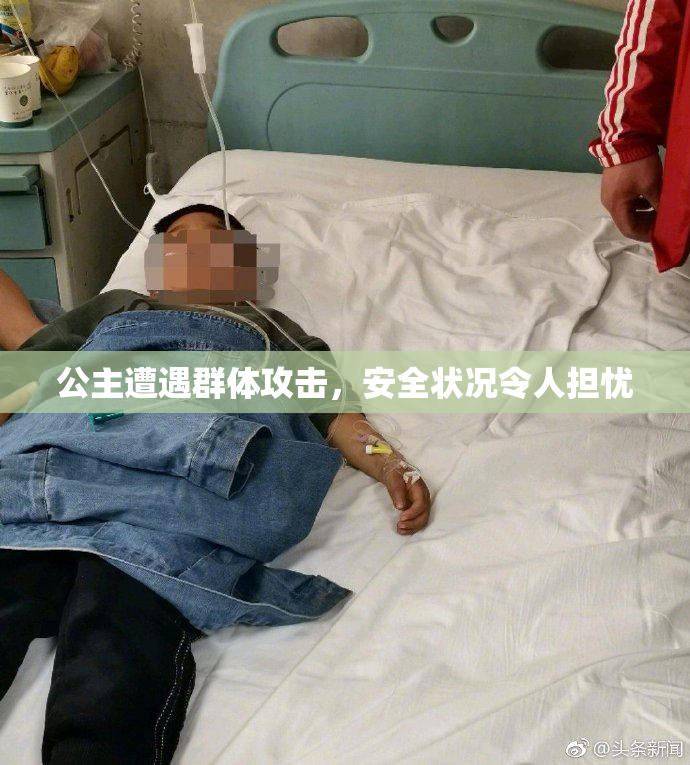 公主遭遇群体攻击，安全状况令人担忧