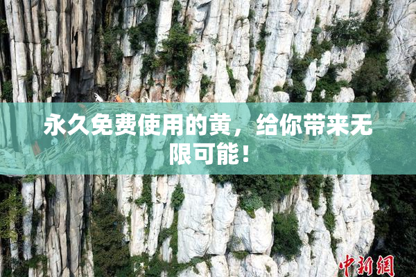 永久免费使用的黄，给你带来无限可能！