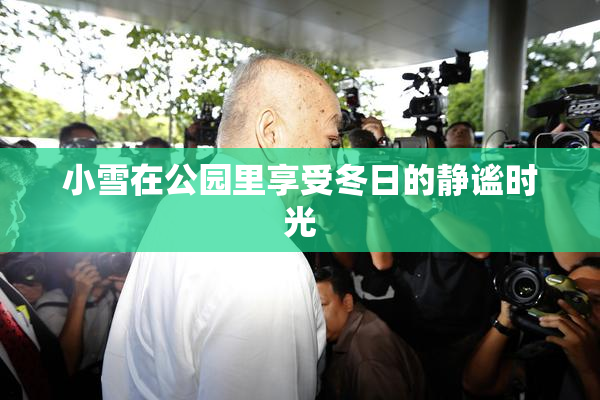 小雪在公园里享受冬日的静谧时光