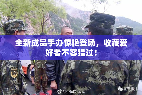 全新成品手办惊艳登场，收藏爱好者不容错过！