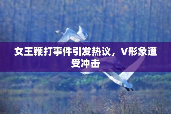 女王鞭打事件引发热议，V形象遭受冲击