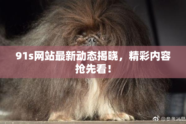 91s网站最新动态揭晓，精彩内容抢先看！