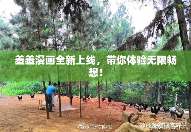 羞羞漫画全新上线，带你体验无限畅想！