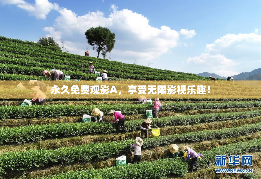 永久免费观影A，享受无限影视乐趣！