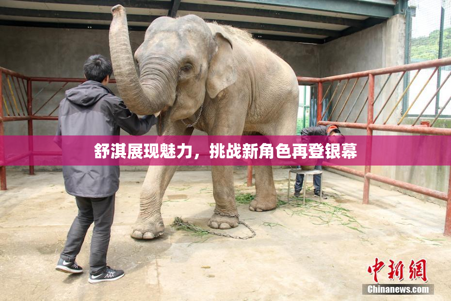 舒淇展现魅力，挑战新角色再登银幕