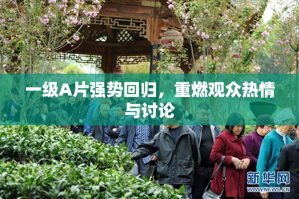 一级A片强势回归，重燃观众热情与讨论