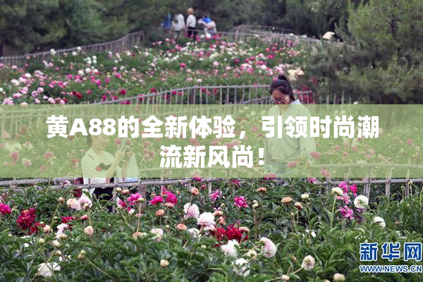 黄A88的全新体验，引领时尚潮流新风尚！