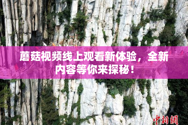 蘑菇视频线上观看新体验，全新内容等你来探秘！