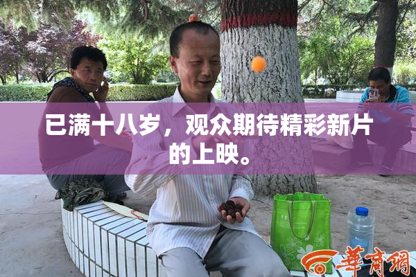 已满十八岁，观众期待精彩新片的上映。