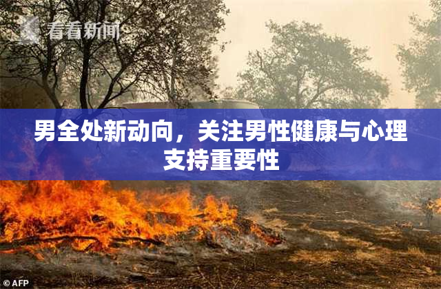 男全处新动向，关注男性健康与心理支持重要性