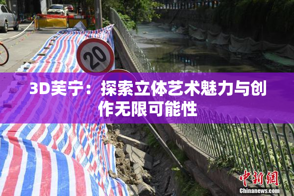 3D芙宁：探索立体艺术魅力与创作无限可能性