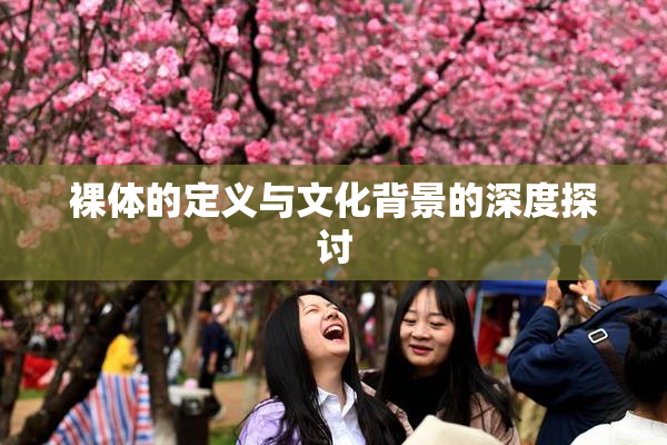 裸体的定义与文化背景的深度探讨