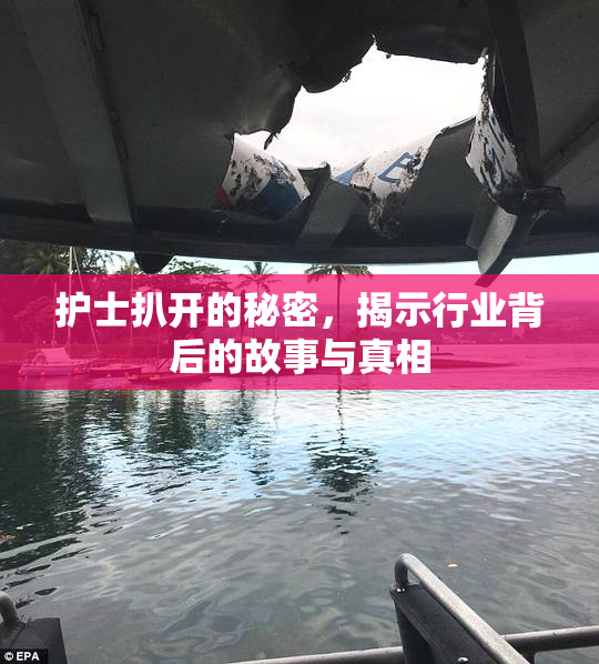 护士扒开的秘密，揭示行业背后的故事与真相