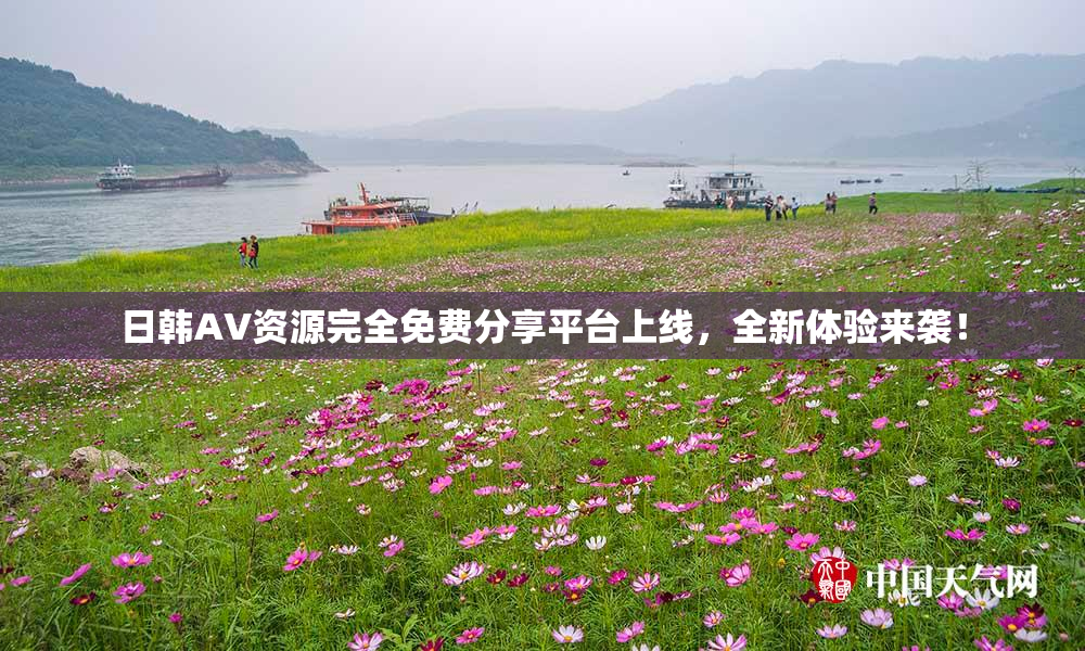 日韩AV资源完全免费分享平台上线，全新体验来袭！