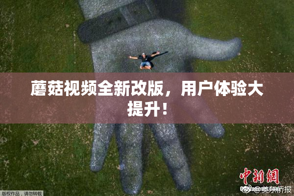 蘑菇视频全新改版，用户体验大提升！