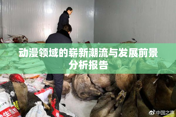 动漫领域的崭新潮流与发展前景分析报告