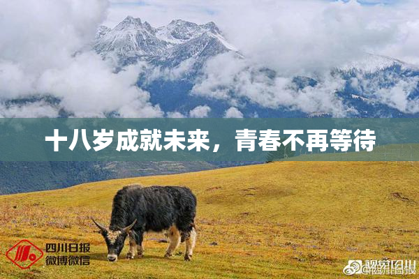 十八岁成就未来，青春不再等待